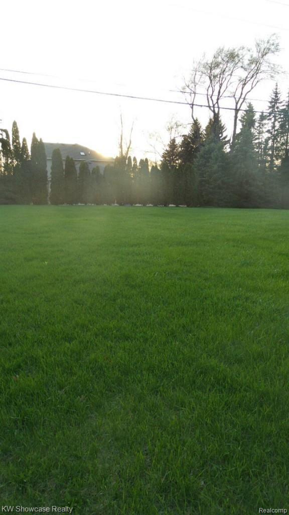 2245 Welch Road Walled Lake, MI 48390 - Photo 14 of 28 Side yard view