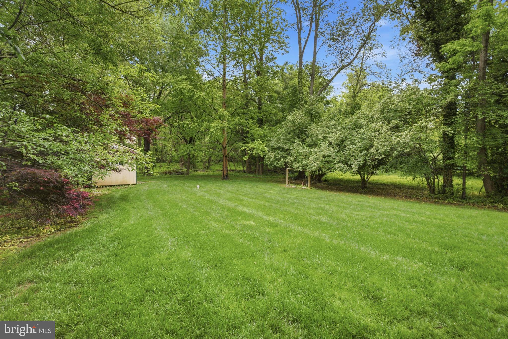 301 Riverview Road Swarthmore, PA 19081 - Photo 42 of 46 a view of a yard with a trees