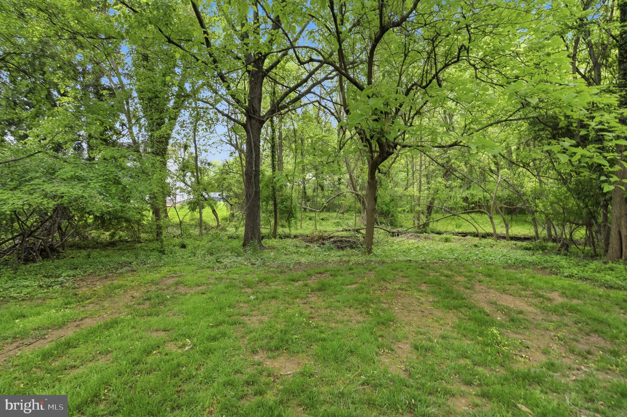 301 Riverview Road Swarthmore, PA 19081 - Photo 44 of 46 a view of outdoor space with trees all around