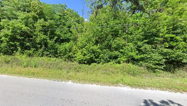 a view of a yard with plants and a small yard