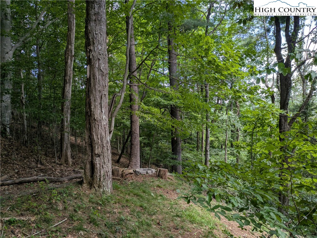 399 Ravens Ridge Circle Boone, NC 28607 - Photo 36 of 42 a view of a forest