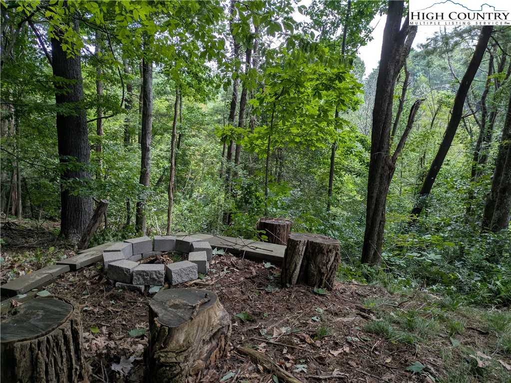 399 Ravens Ridge Circle Boone, NC 28607 - Photo 37 of 42 a backyard of a house with lots of green space