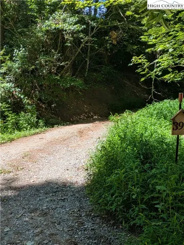 a view of a yard with plants and a trees