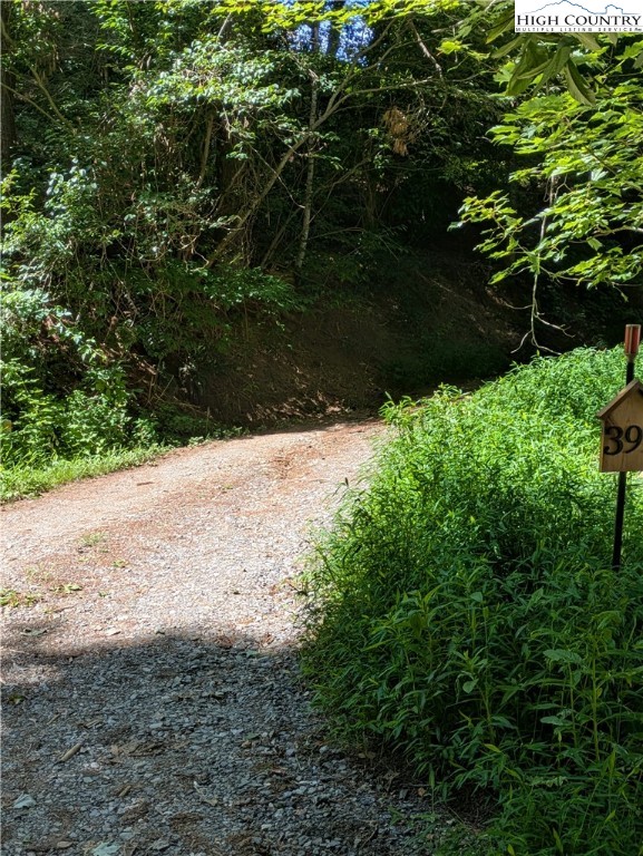 399 Ravens Ridge Circle Boone, NC 28607 - Photo 38 of 42 a view of a yard with plants and tree