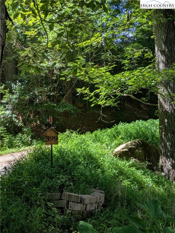 399 Ravens Ridge Circle Boone, NC 28607 - Photo 39 of 42