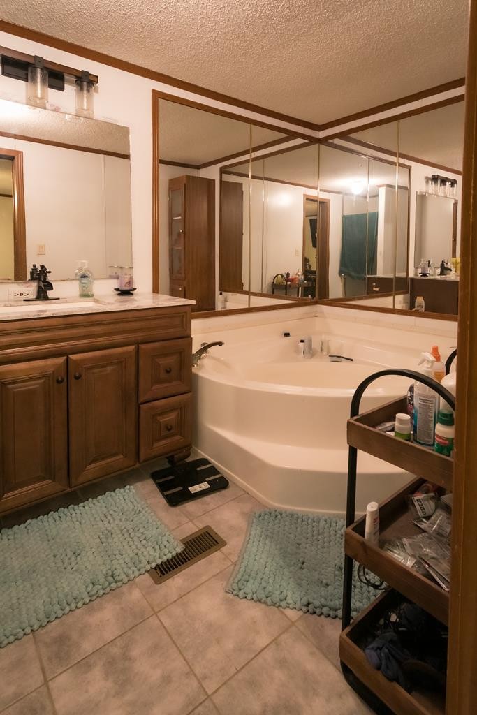 3260 Duncan Springs Road Seymour, TN 37865 - Photo 18 of 32 a bathroom with a sink a vanity and a mirror