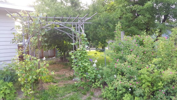 1805 South McDonald Road Spokane Valley, WA 99216 - Photo 12 of 15
