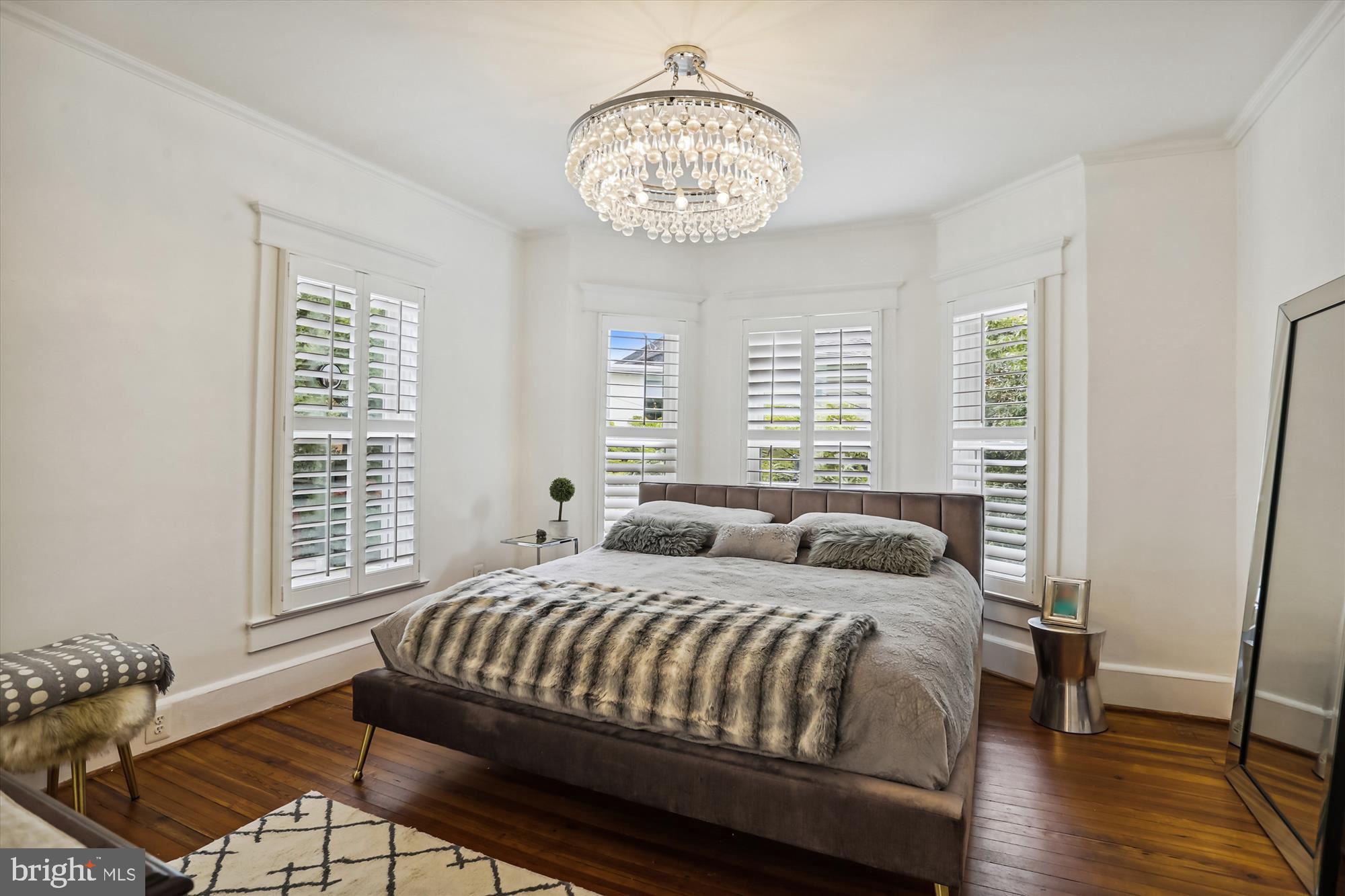 4887 MacArthur Boulevard Northwest Washington, DC 20007 - Photo 15 of 21 Primary bedroom, glorious light