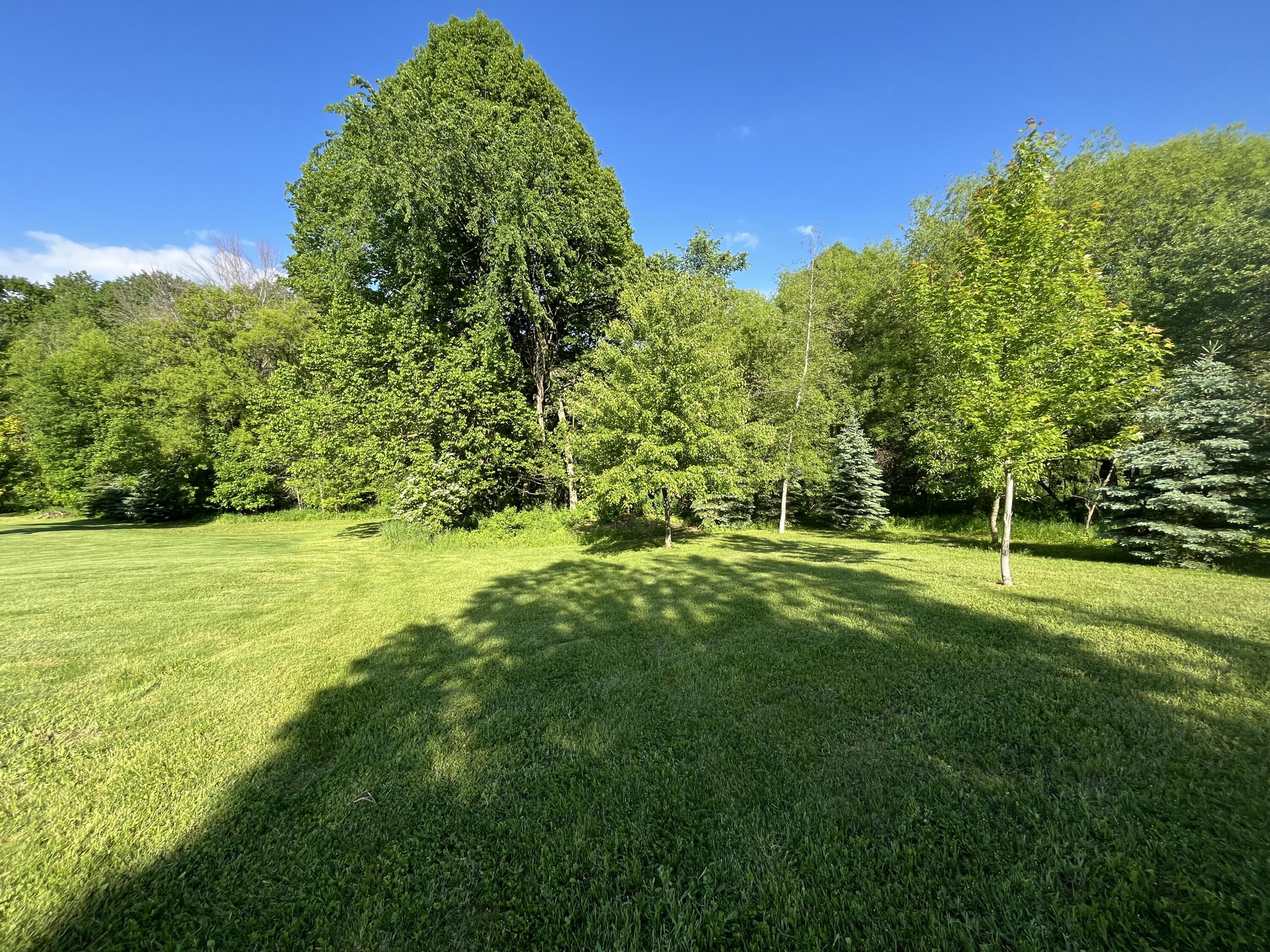 11105 Meadow Ridge Road Whitelaw, WI 54247 - Photo 120 of 126 Backyard View 5