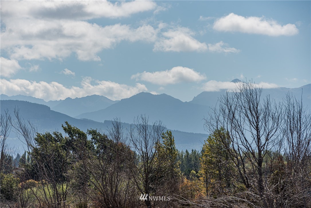 271 3 Crabs Road Sequim, WA 98382 - Photo 40 of 40 a view of a lake