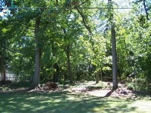 315 West Spring Street Port Austin, MI 48467 - Photo 9 of 9 551841-8.JPG