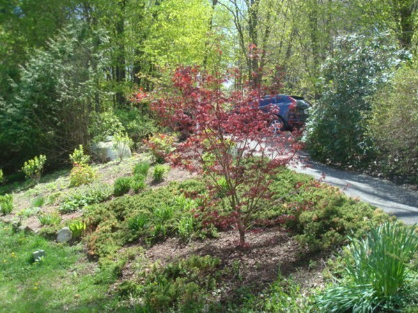 388 Hart Road Conway, MA 01341 - Photo 6 of 26 Gallery Image 6