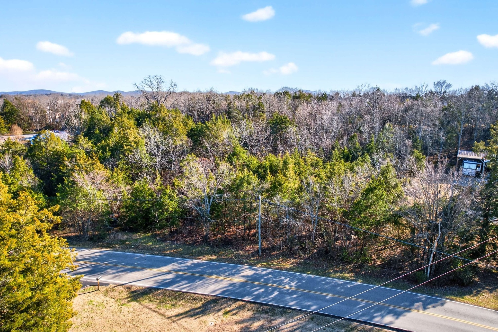 9877 Sam Donald Road Nolensville, TN 37135 - Photo 11 of 37 a view of a yard