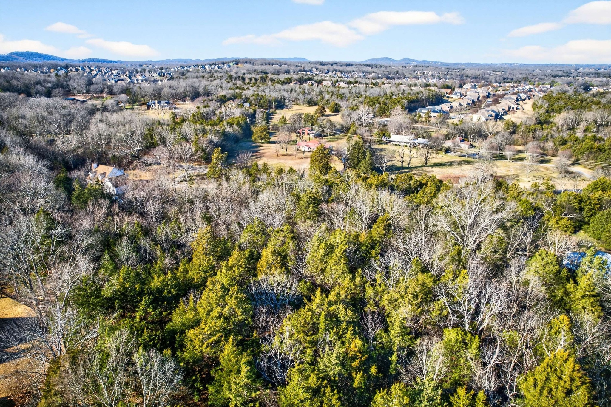 9877 Sam Donald Road Nolensville, TN 37135 - Photo 19 of 37