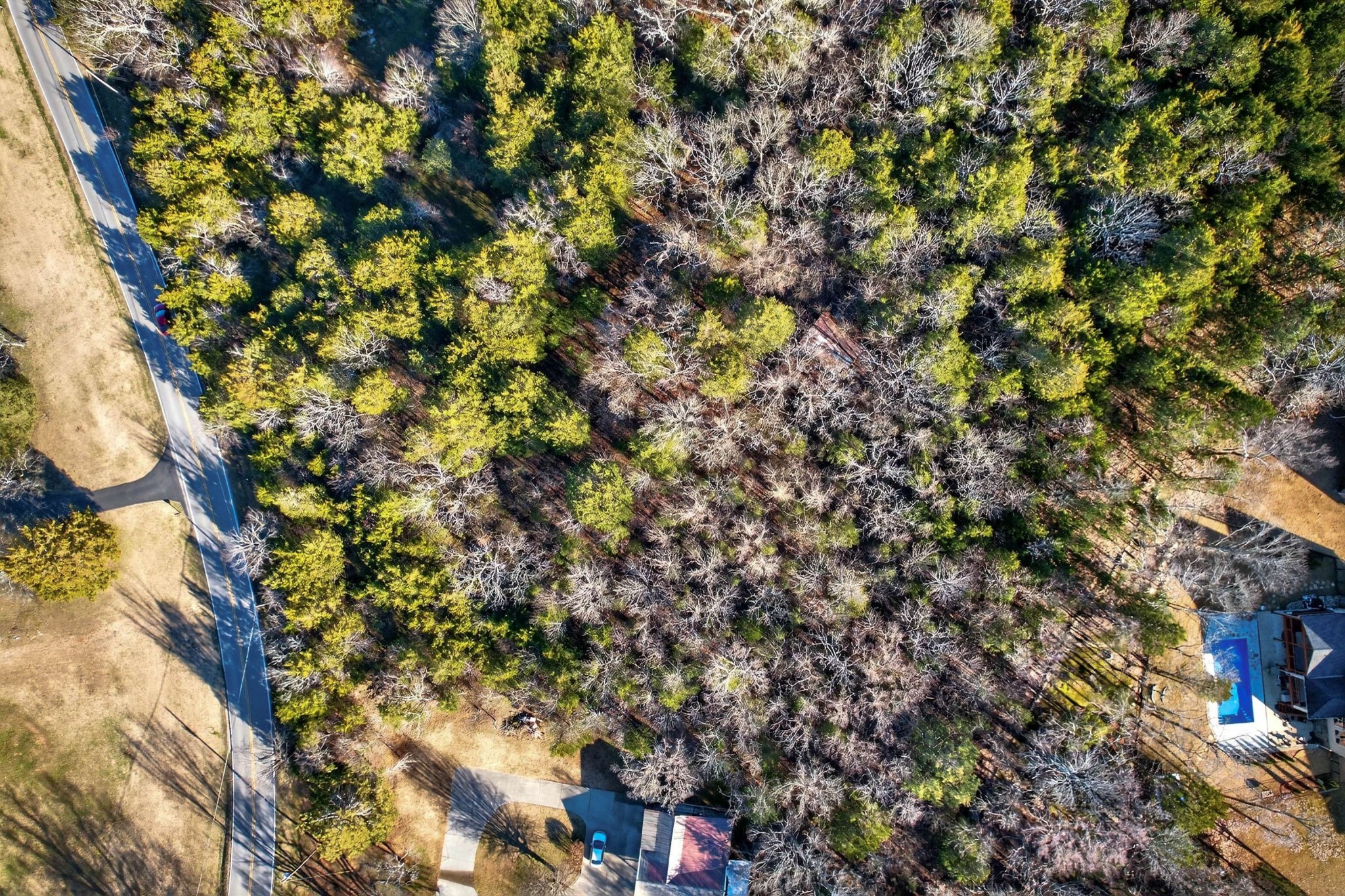 9877 Sam Donald Road Nolensville, TN 37135 - Photo 27 of 37 a view of a tree