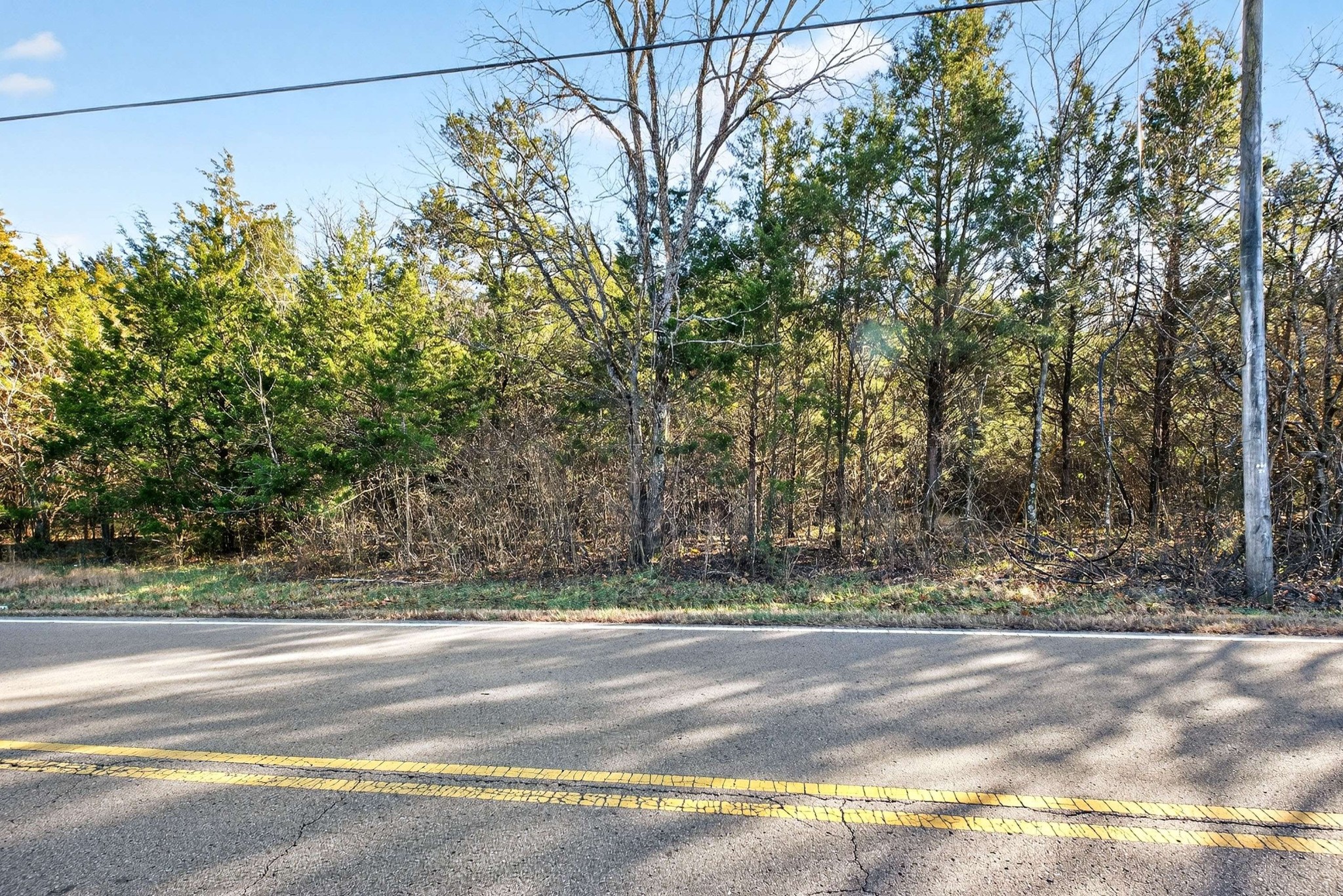 9877 Sam Donald Road Nolensville, TN 37135 - Photo 5 of 37 a view of a yard and tree