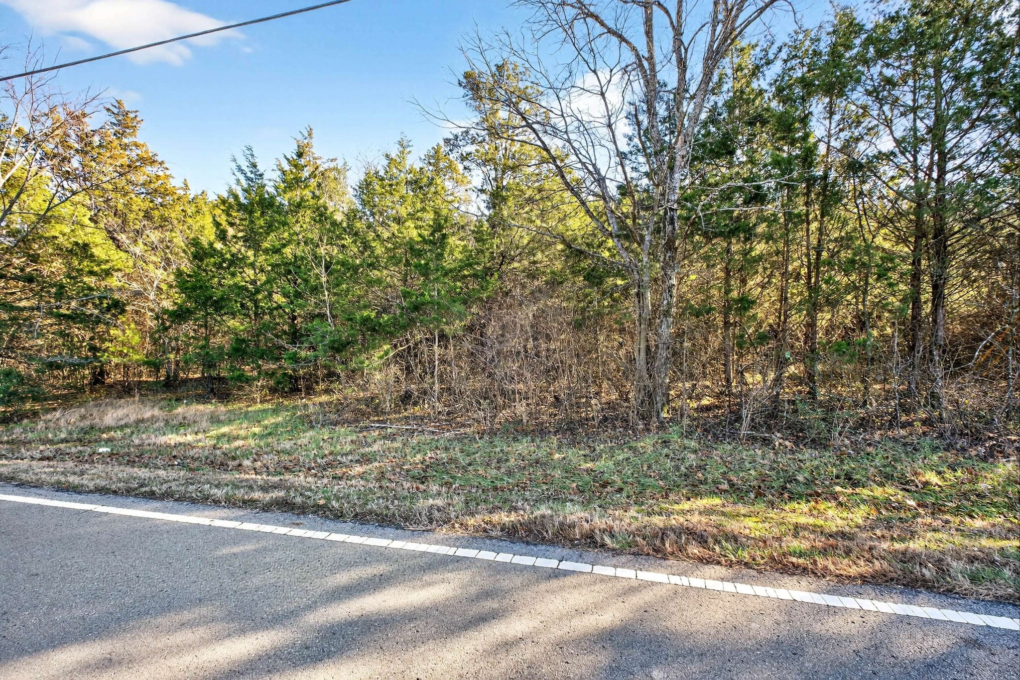 9877 Sam Donald Road Nolensville, TN 37135 - Photo 6 of 37 a backyard of a house with lots of green space