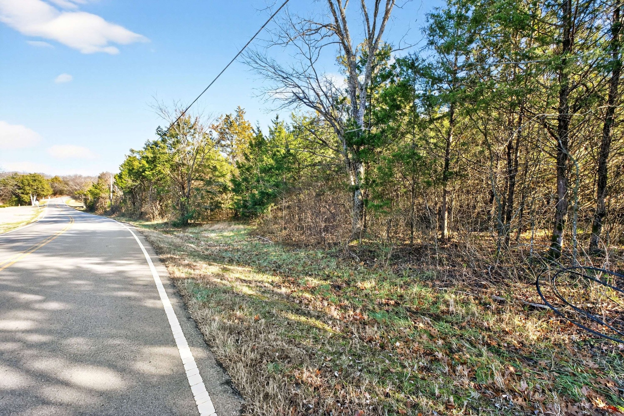 9877 Sam Donald Road Nolensville, TN 37135 - Photo 7 of 37 a view of a yard with plants and large trees