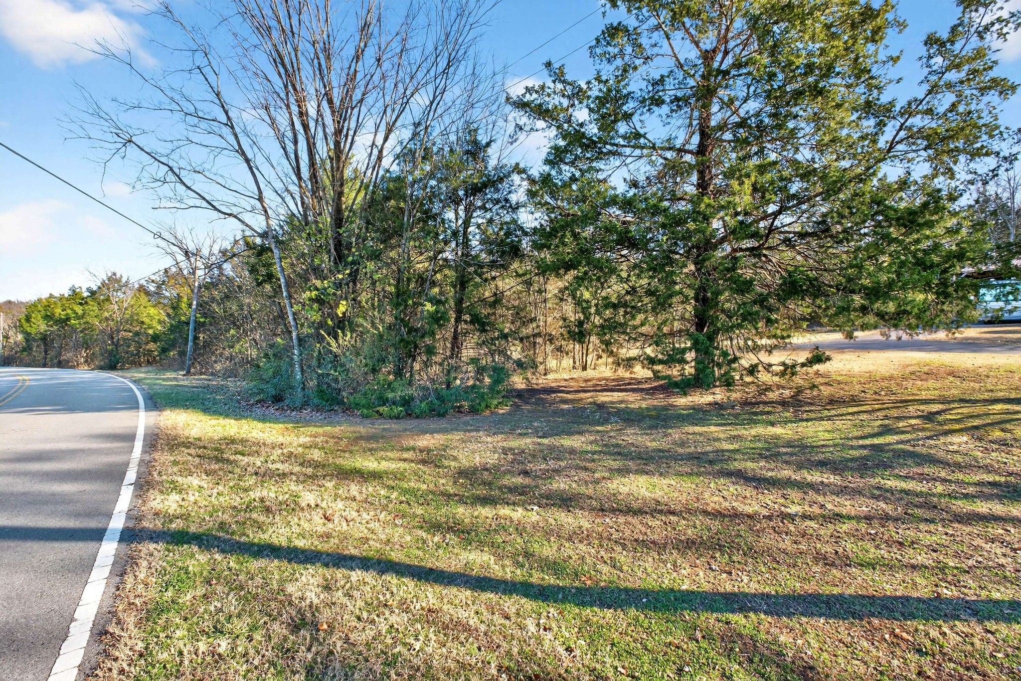 9877 Sam Donald Road Nolensville, TN 37135 - Photo 8 of 37 a view of a yard with an outdoor space