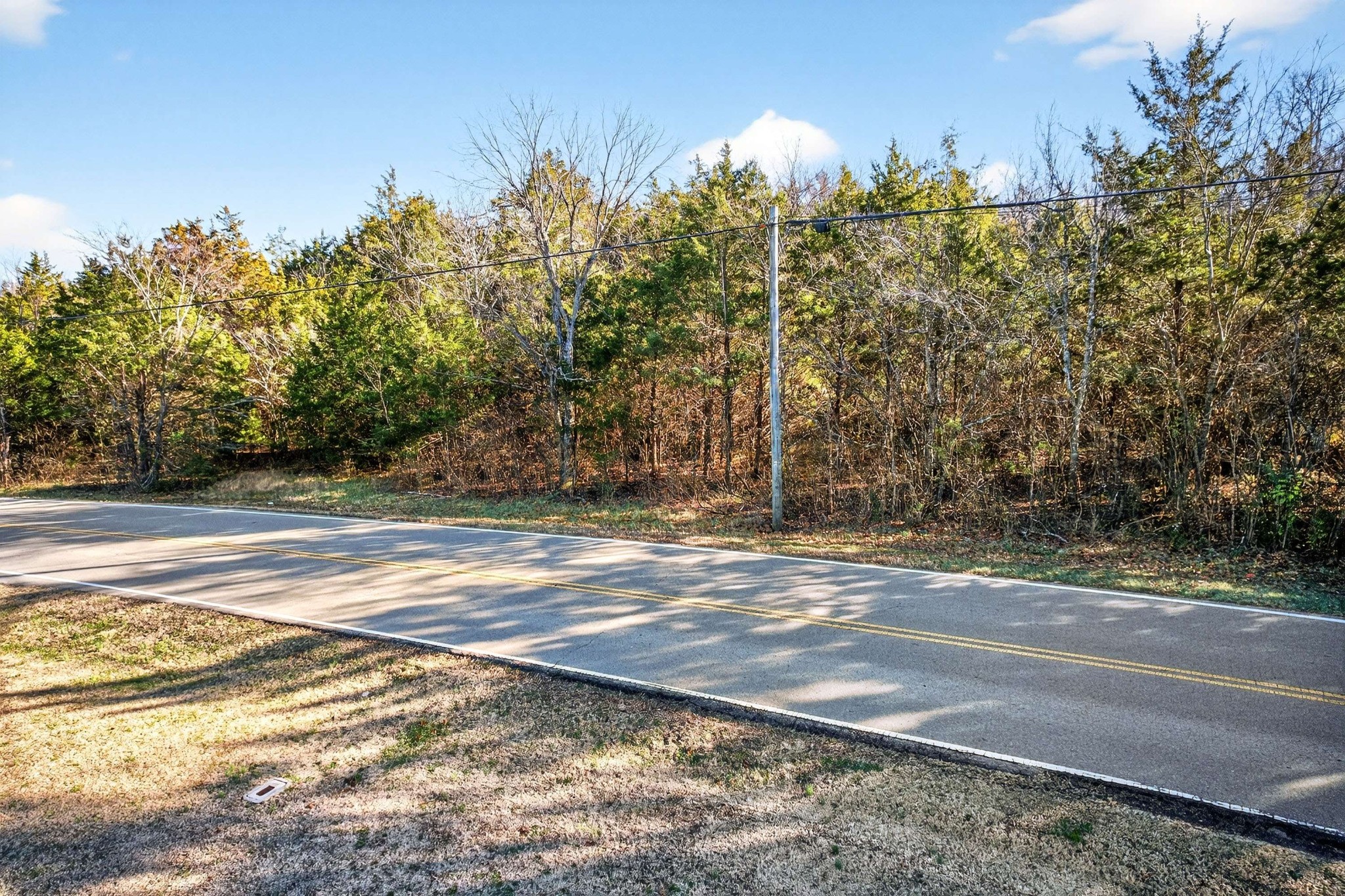 9877 Sam Donald Road Nolensville, TN 37135 - Photo 9 of 37 a view of a backyard of a house