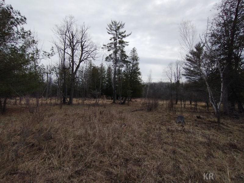 50-acres Sugar River Road Gladwin, MI 48624 - Photo 5 of 29