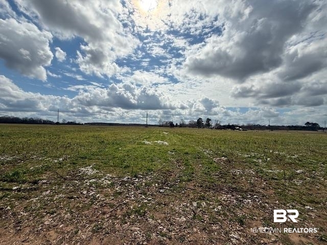 0 Old Atmore Road Flomaton, AL 36441 - Photo 2 of 3 View of undeveloped land with rural landscape