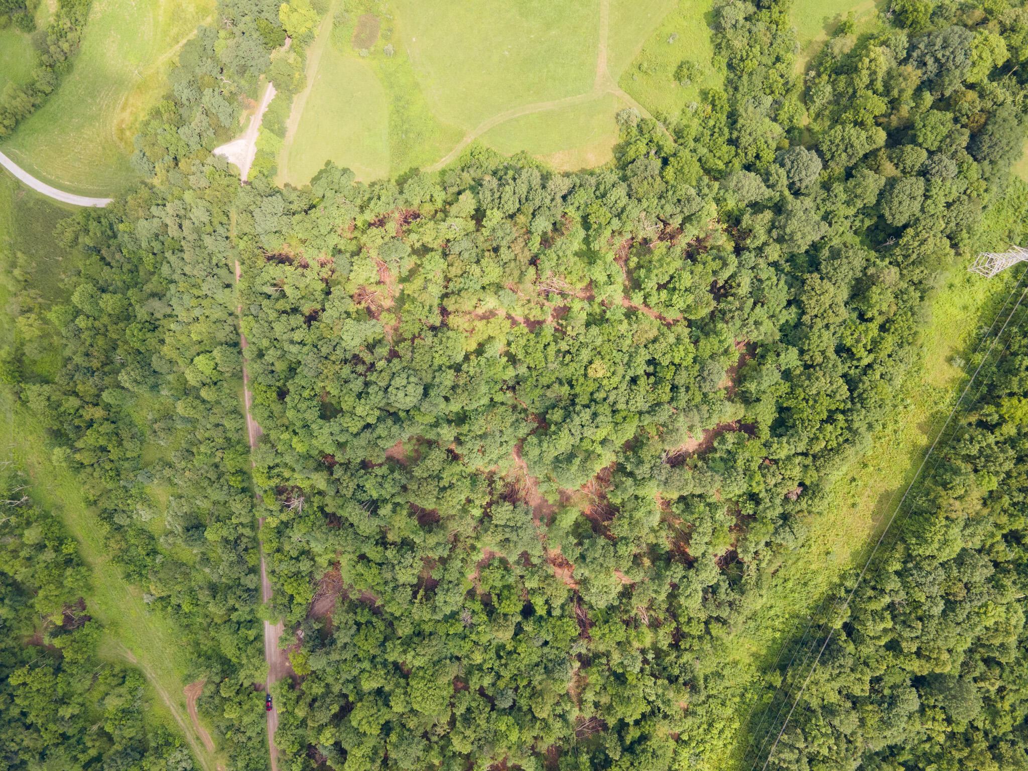 0 White Eyes Road New Concord, OH 43762 - Photo 1 of 14 DJI_0004