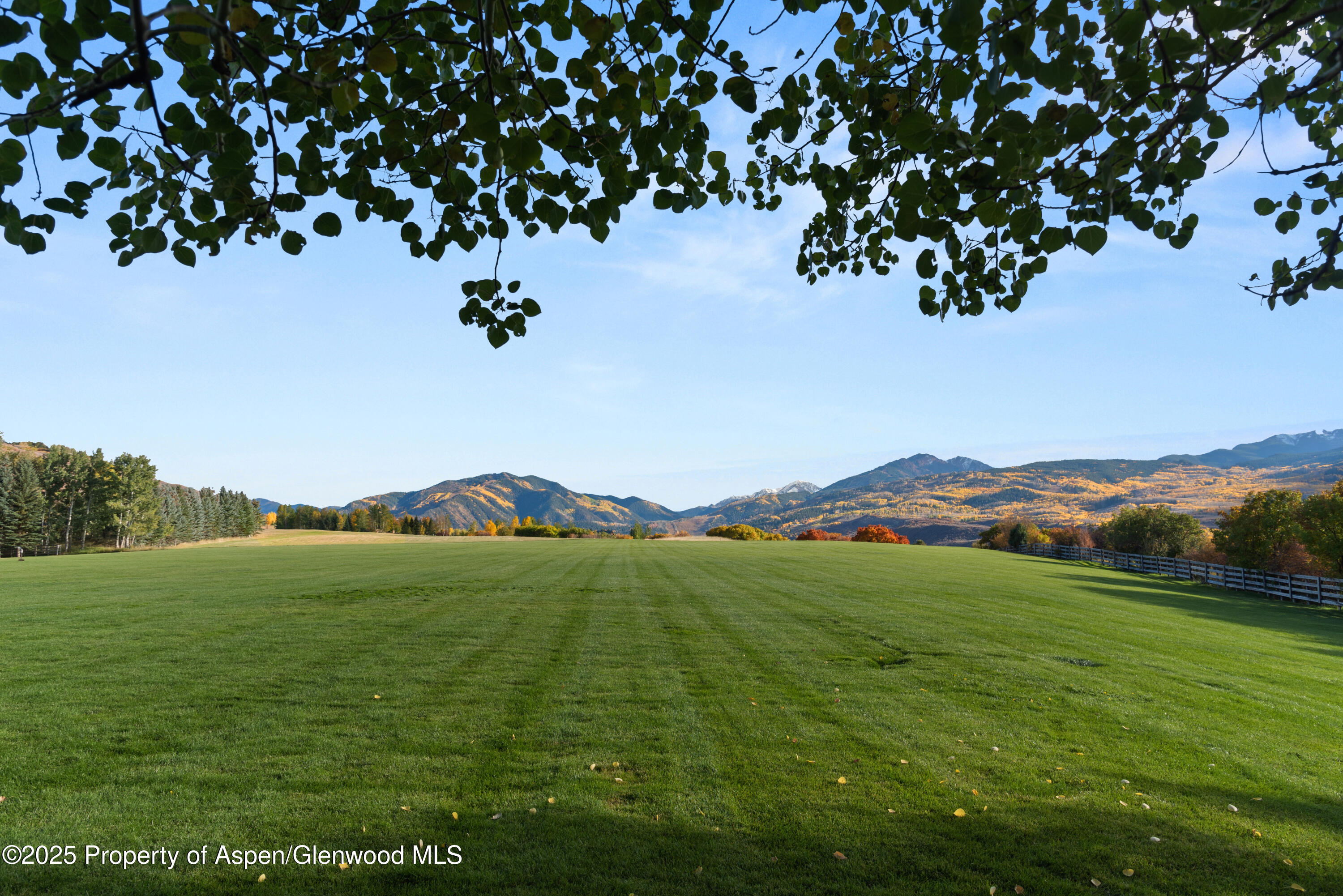 1650 McLain Flats Road Aspen, CO 81611 - Photo 20 of 72 a view of a lush green space with a mountain in the background