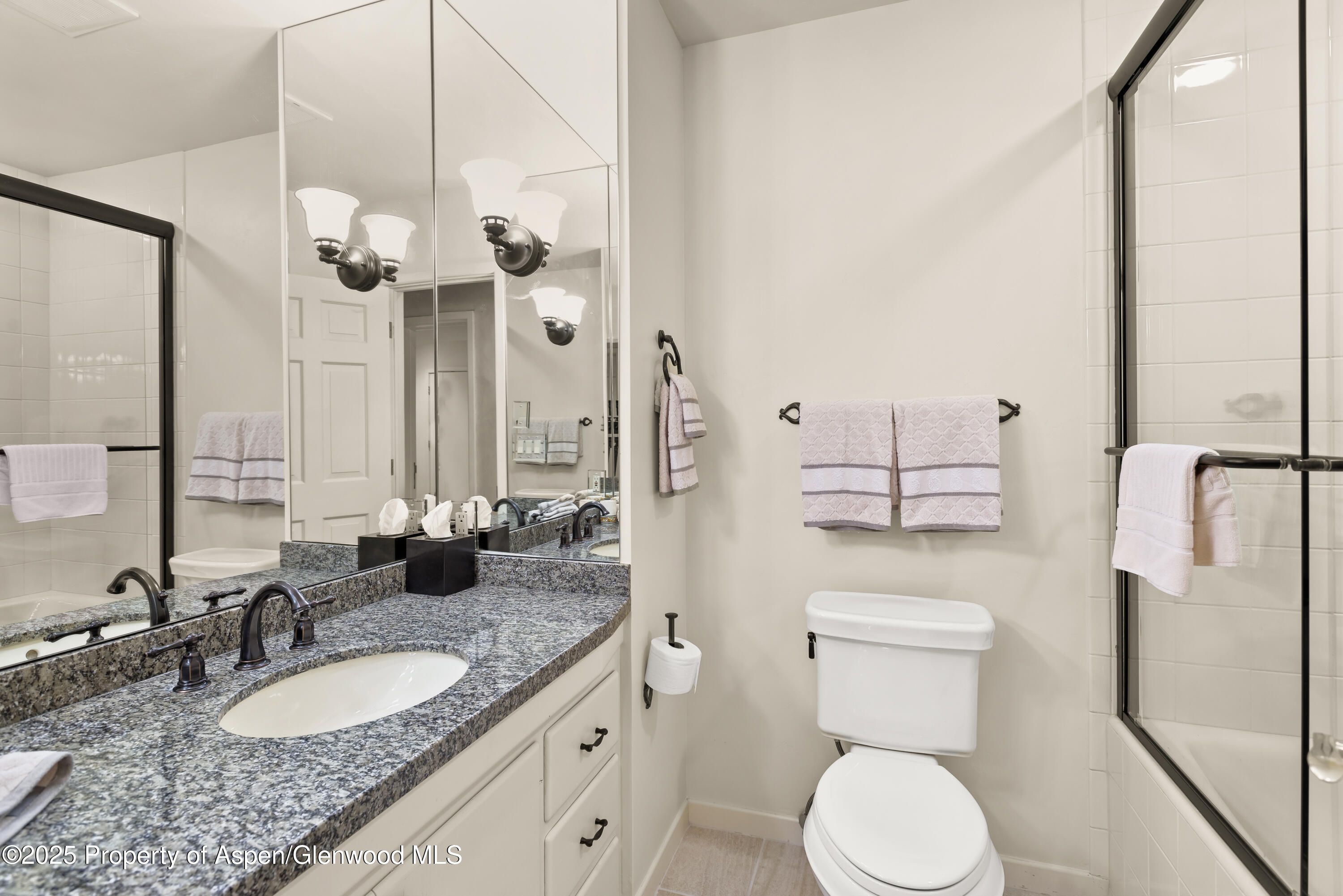 1650 McLain Flats Road Aspen, CO 81611 - Photo 41 of 72 a bathroom with a granite countertop toilet sink and mirror