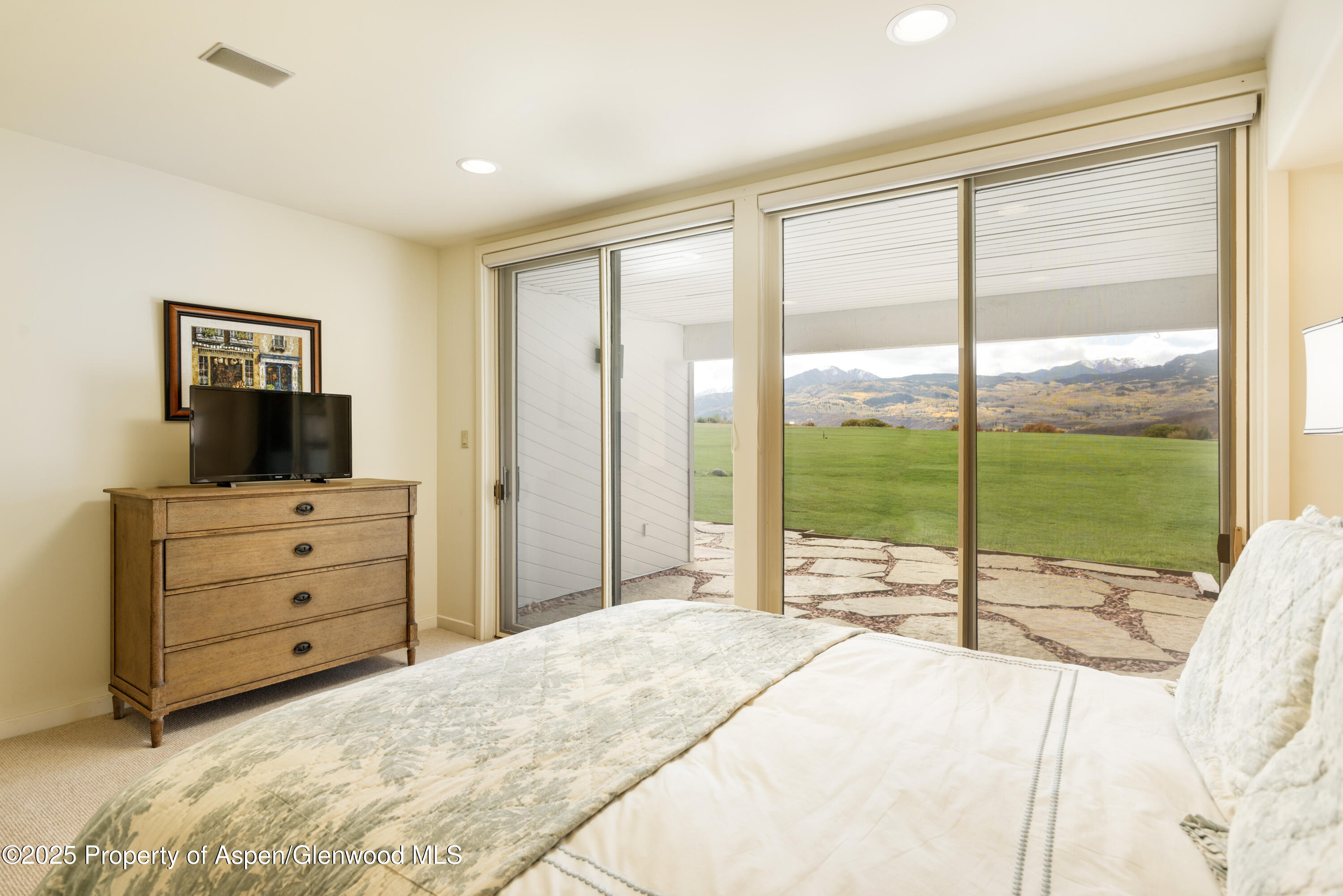 1650 McLain Flats Road Aspen, CO 81611 - Photo 45 of 72 a bed room with a bed and a television