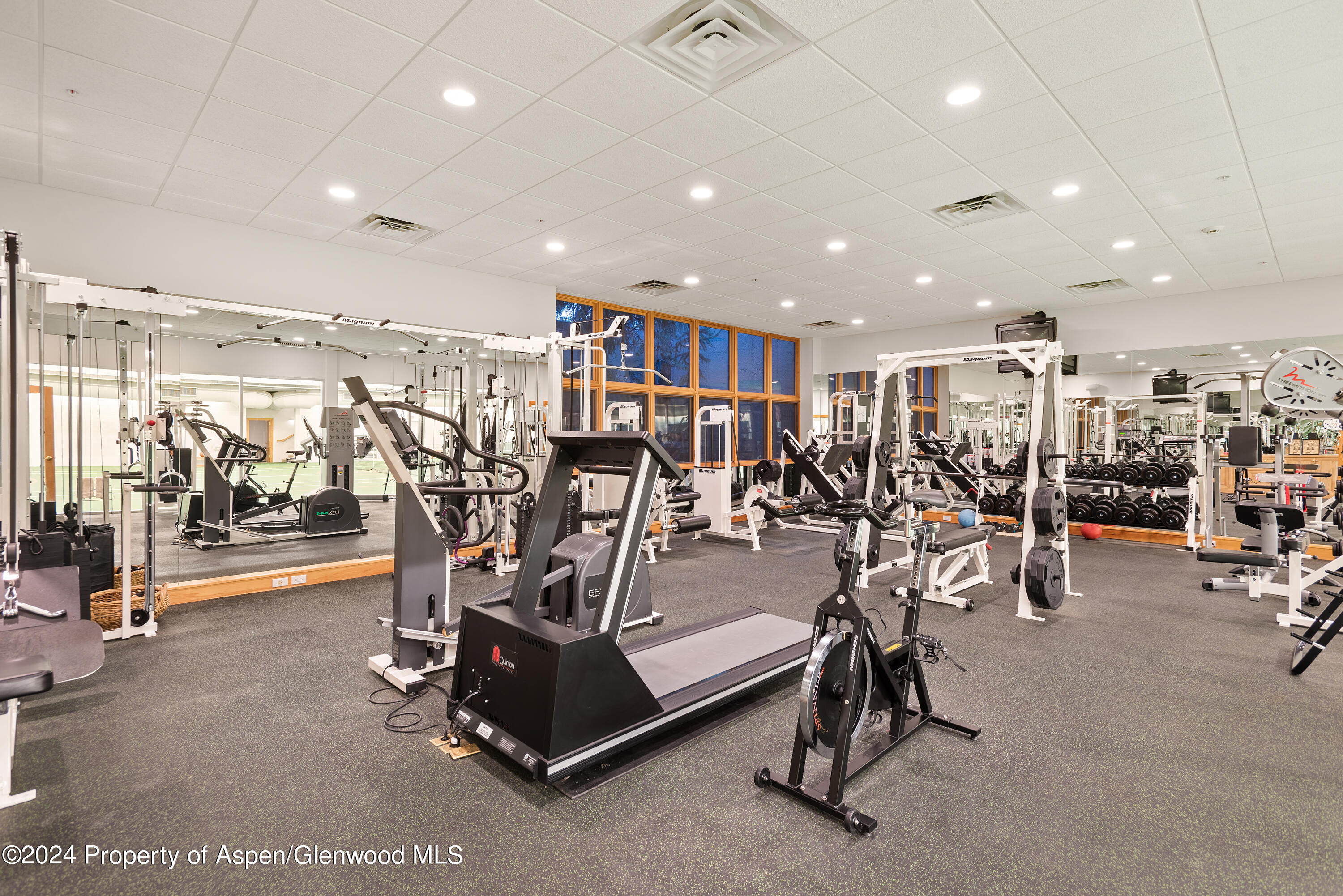 1650 McLain Flats Road Aspen, CO 81611 - Photo 53 of 72 a view of a room with gym equipment