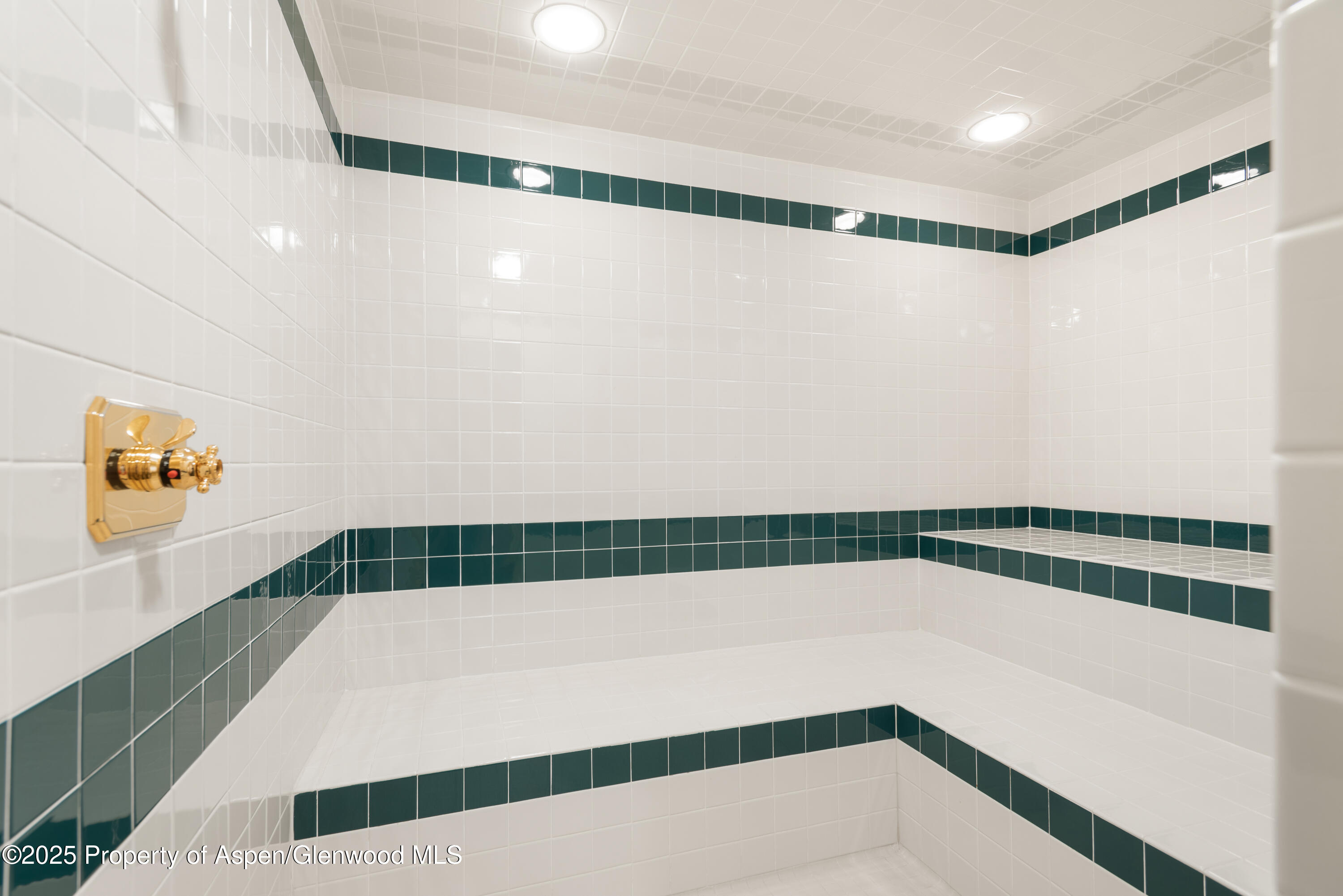 1650 McLain Flats Road Aspen, CO 81611 - Photo 55 of 72 1650McLain_HiRes21100609