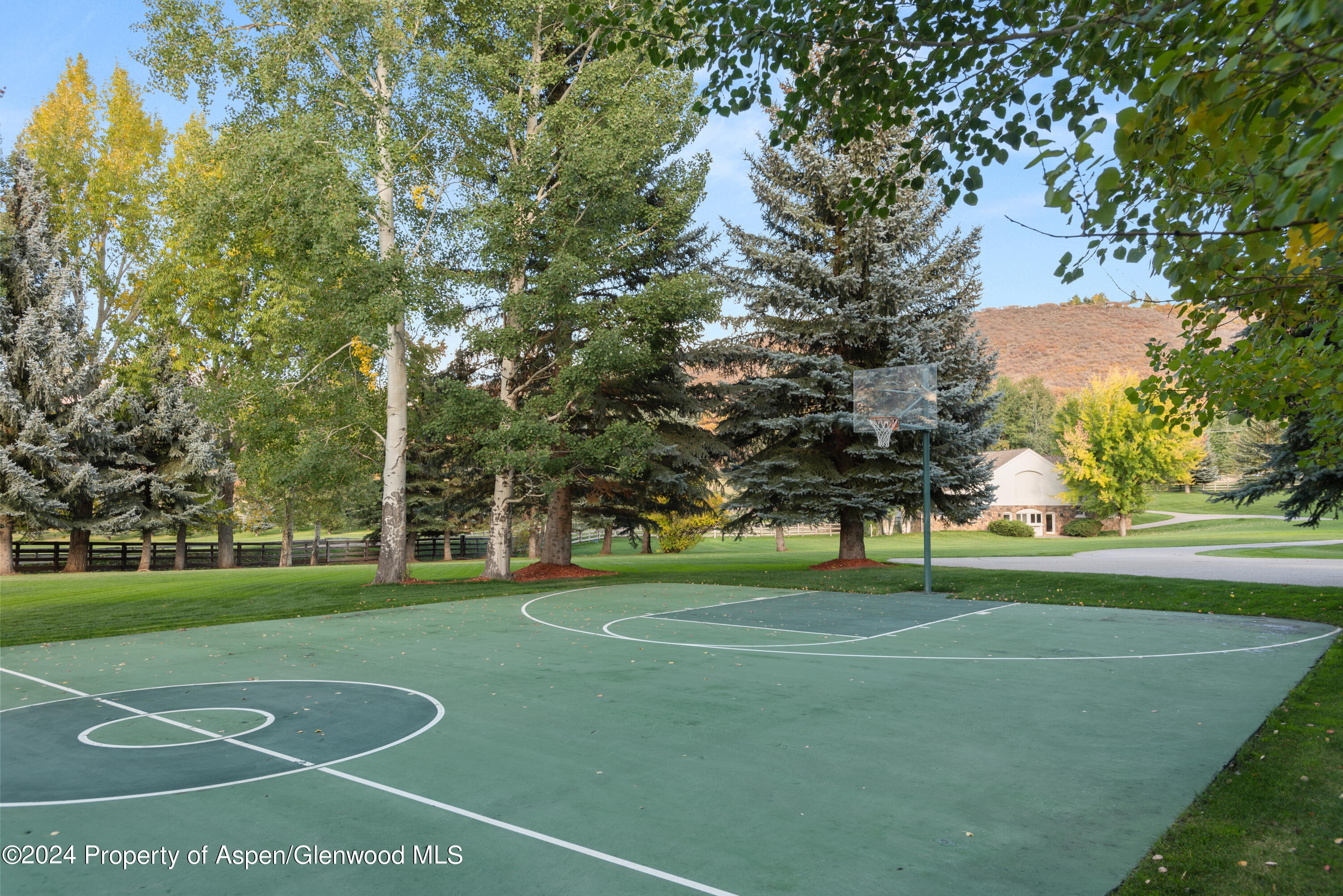 1650 McLain Flats Road Aspen, CO 81611 - Photo 61 of 72 a view of a tennis ground with large trees