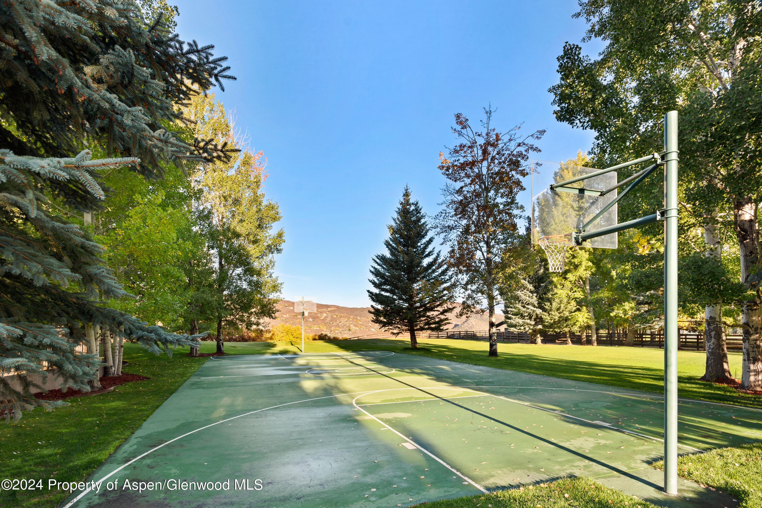 1650 McLain Flats Road Aspen, CO 81611 - Photo 62 of 72 a view of a yard with basketball court