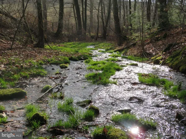 $125,000 | 0 Kulp Road, Dornsife, PA 17823