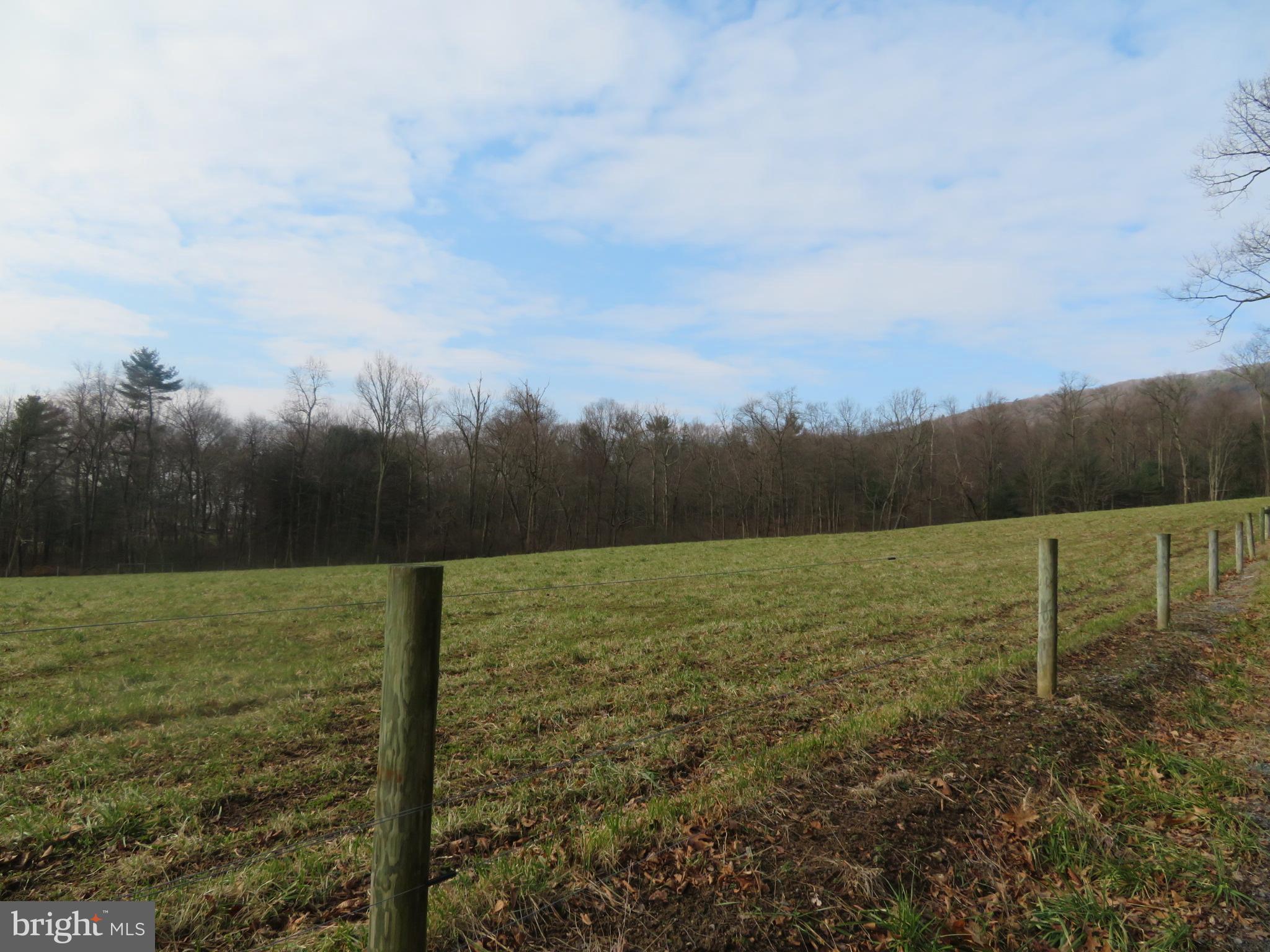 0 Kulp Road Dornsife, PA 17823 - Photo 2 of 8