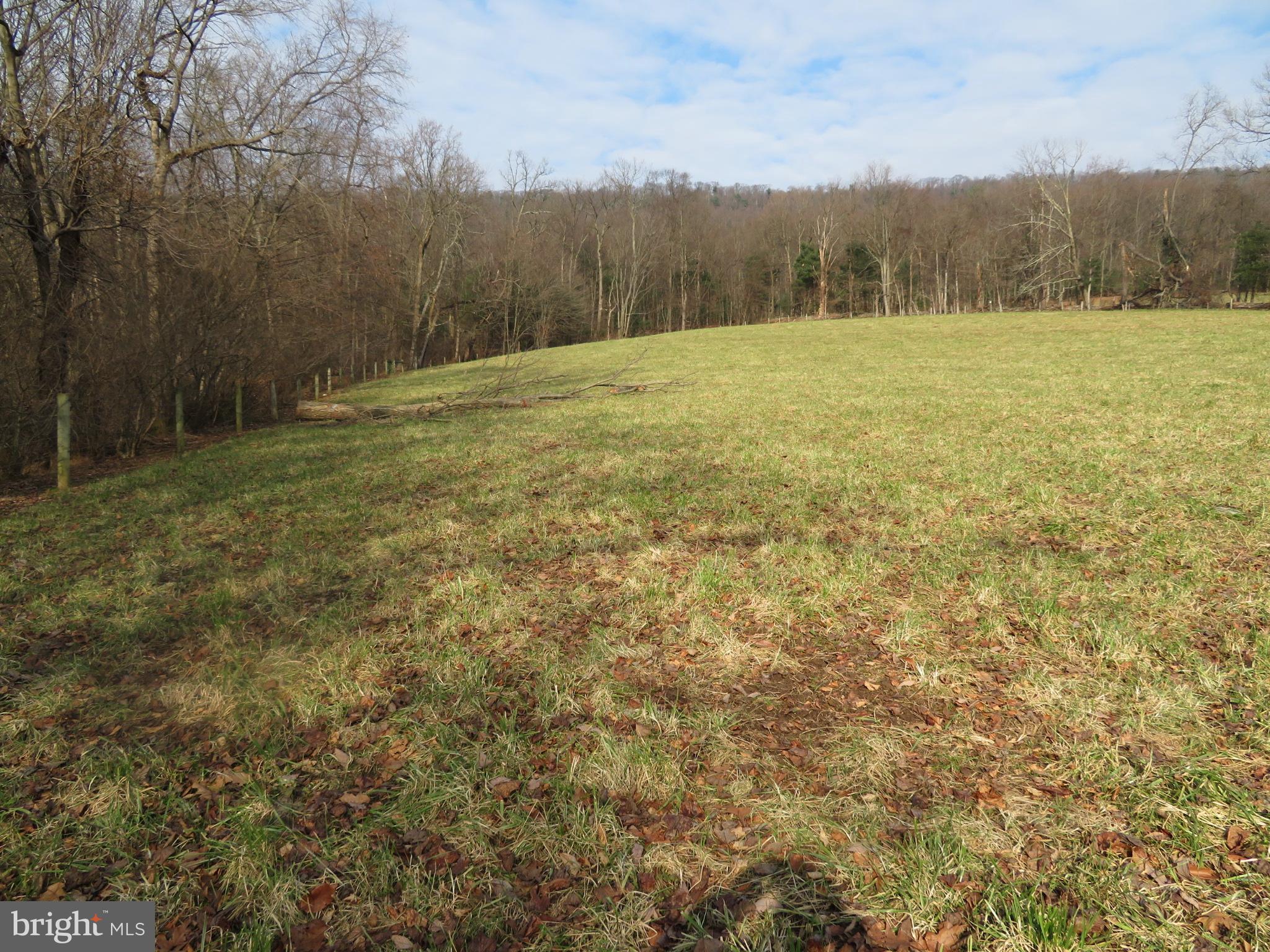 0 Kulp Road Dornsife, PA 17823 - Photo 3 of 8