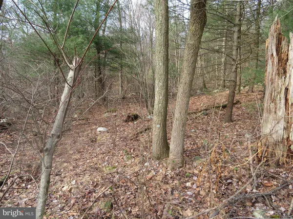 $125,000 | 0 Kulp Road, Dornsife, PA 17823