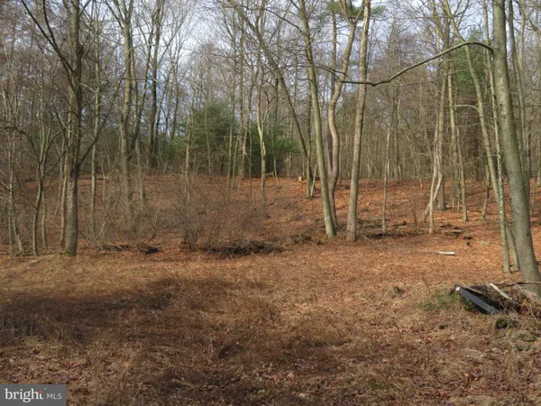 $125,000 | 0 Kulp Road, Dornsife, PA 17823