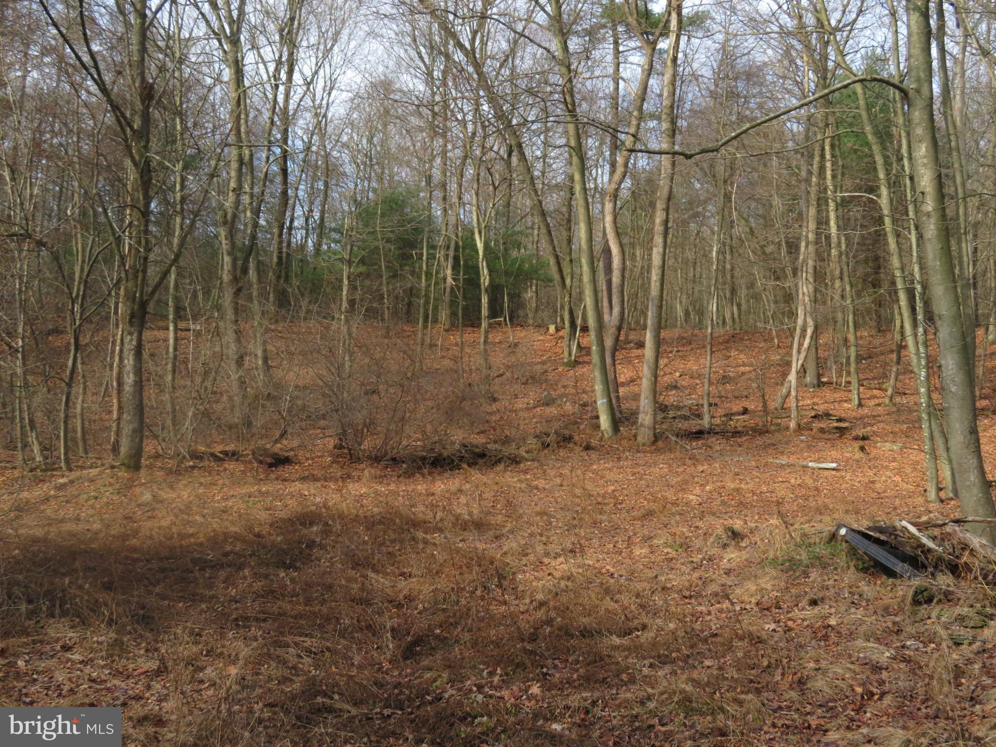 0 Kulp Road Dornsife, PA 17823 - Photo 5 of 8