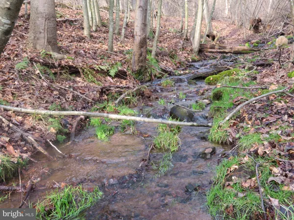 $125,000 | 0 Kulp Road, Dornsife, PA 17823