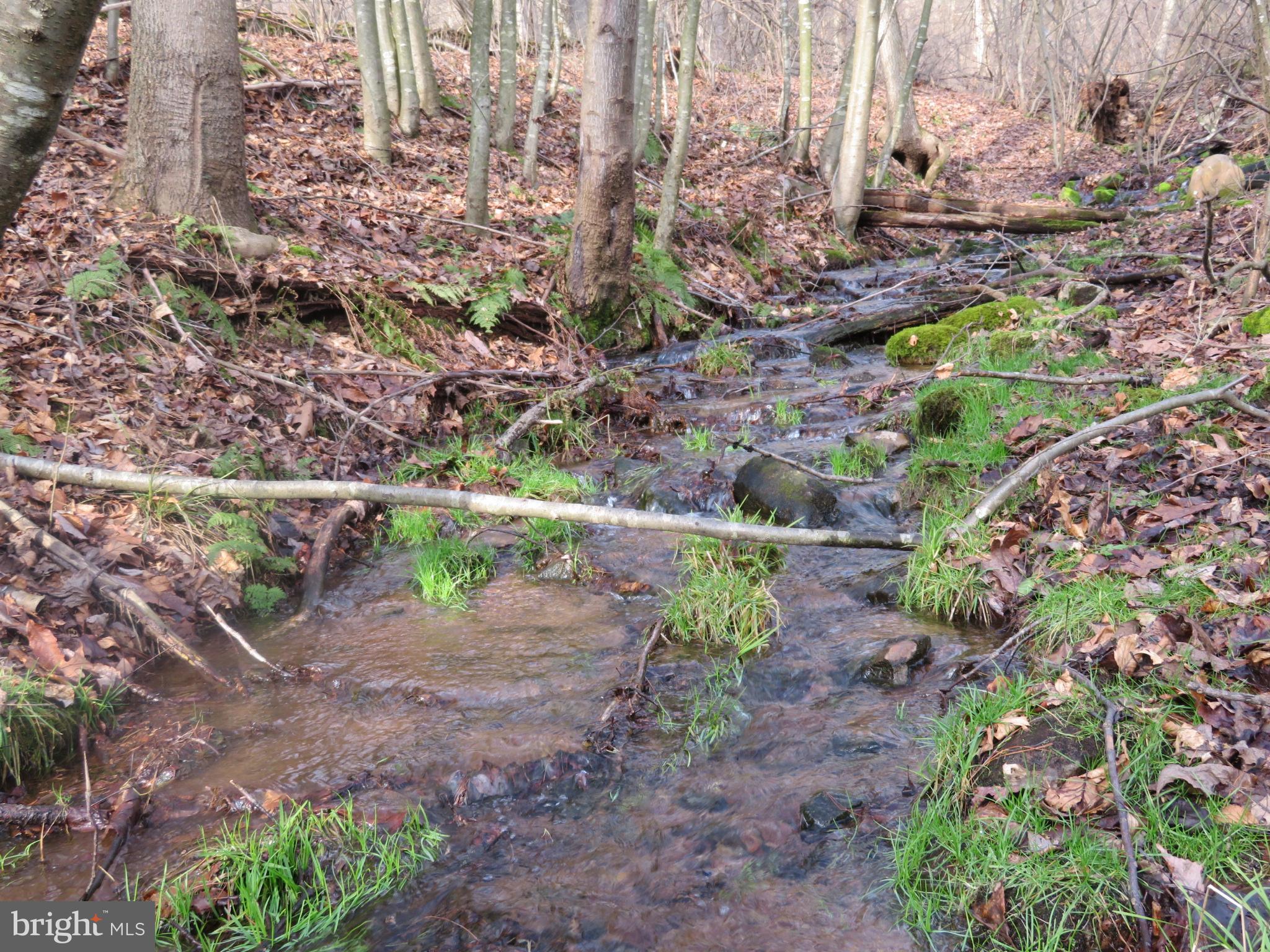 0 Kulp Road Dornsife, PA 17823 - Photo 8 of 8