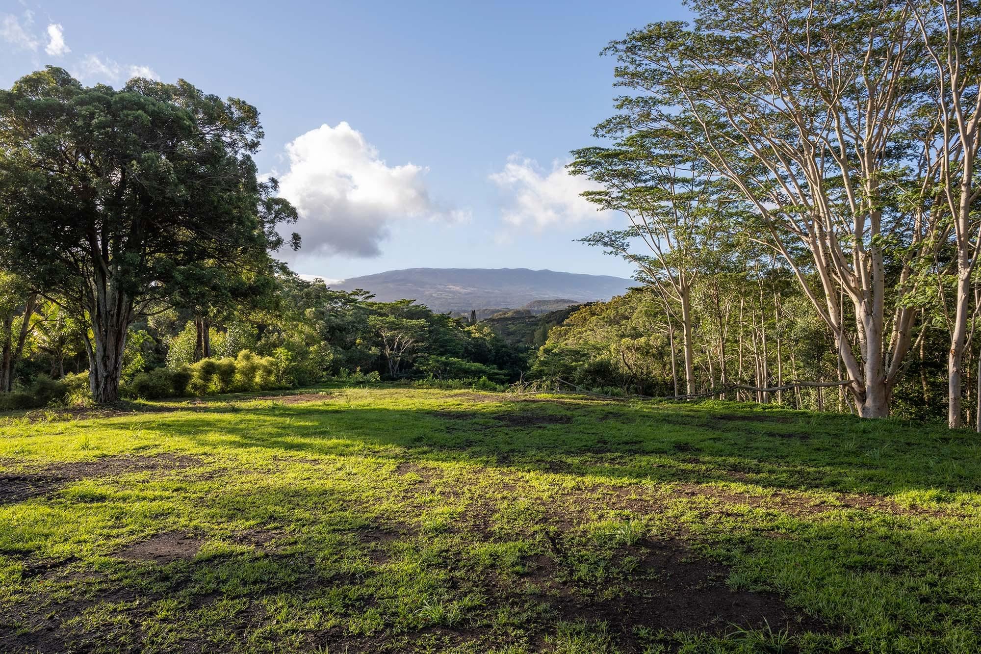 480 East Kuiaha Road Haiku, HI 96708 - Photo 11 of 23 a view of a grassy field with trees