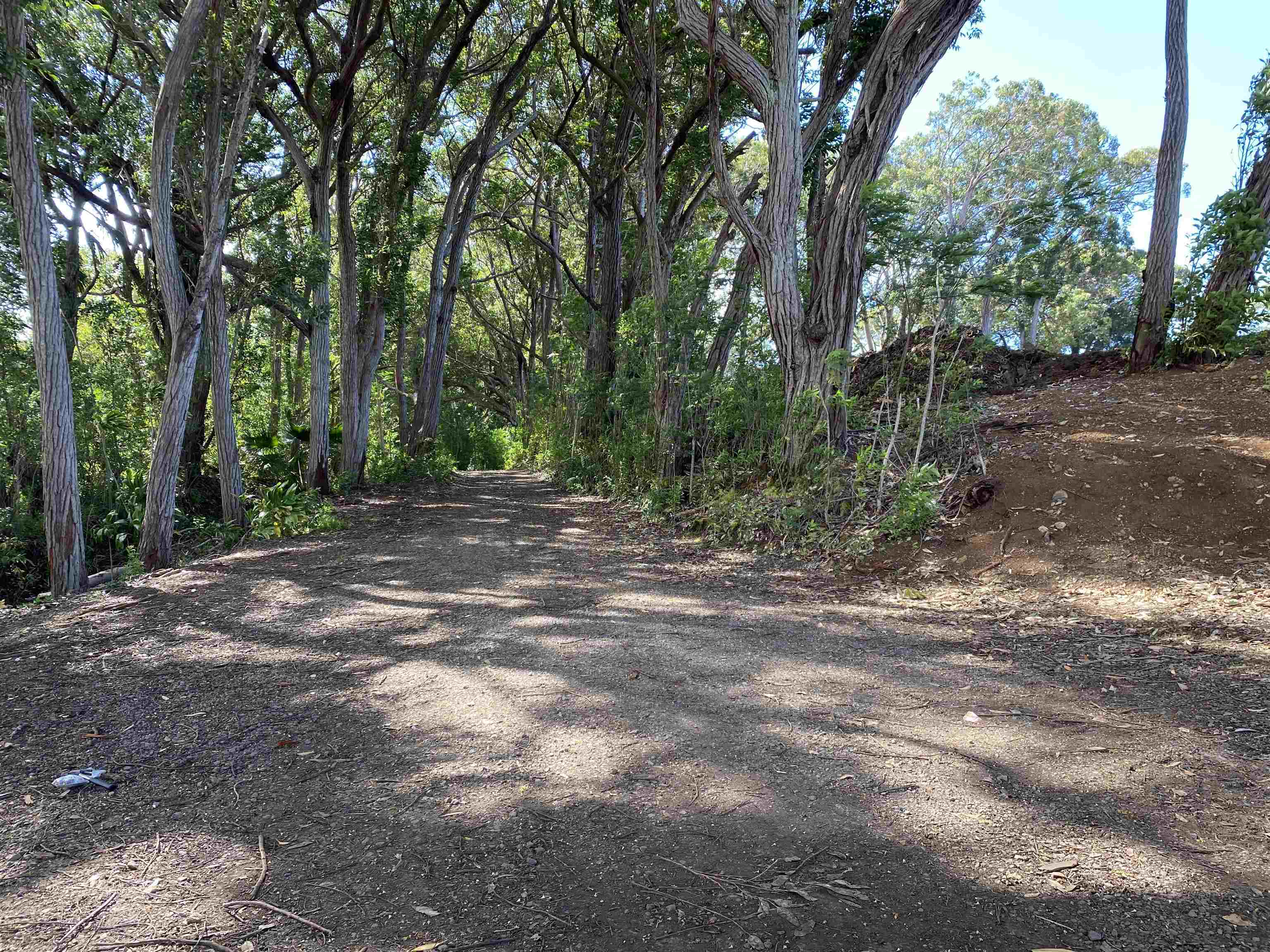480 East Kuiaha Road Haiku, HI 96708 - Photo 12 of 23 a view of outdoor space with trees