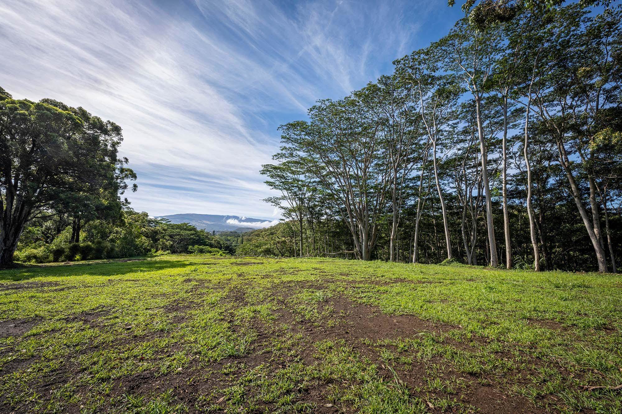 480 East Kuiaha Road Haiku, HI 96708 - Photo 16 of 23 a view of a trees in a yard