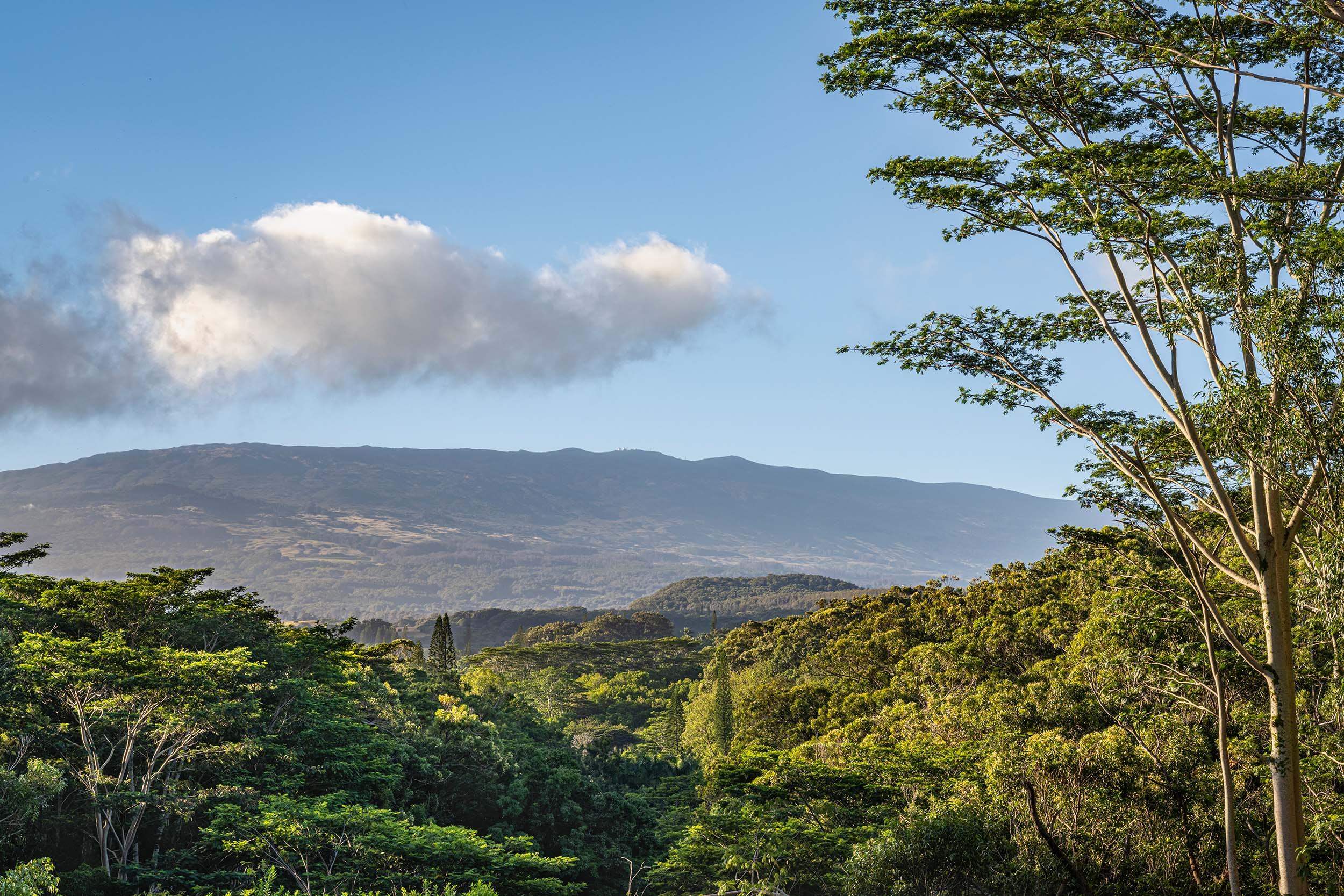 480 East Kuiaha Road Haiku, HI 96708 - Photo 18 of 23 a view of a city