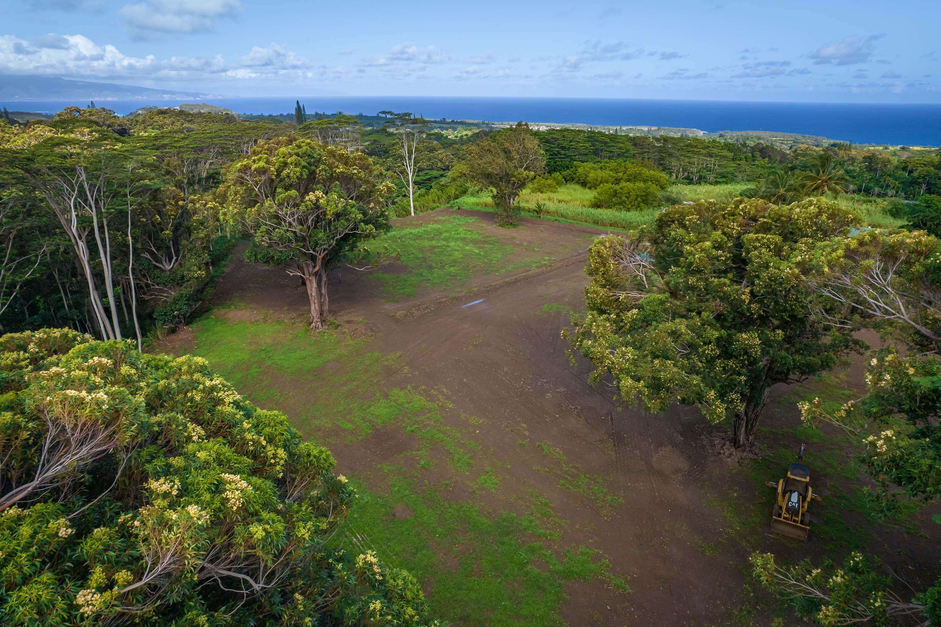 480 East Kuiaha Road Haiku, HI 96708 - Photo 19 of 23 a view of a yard with plants and large trees