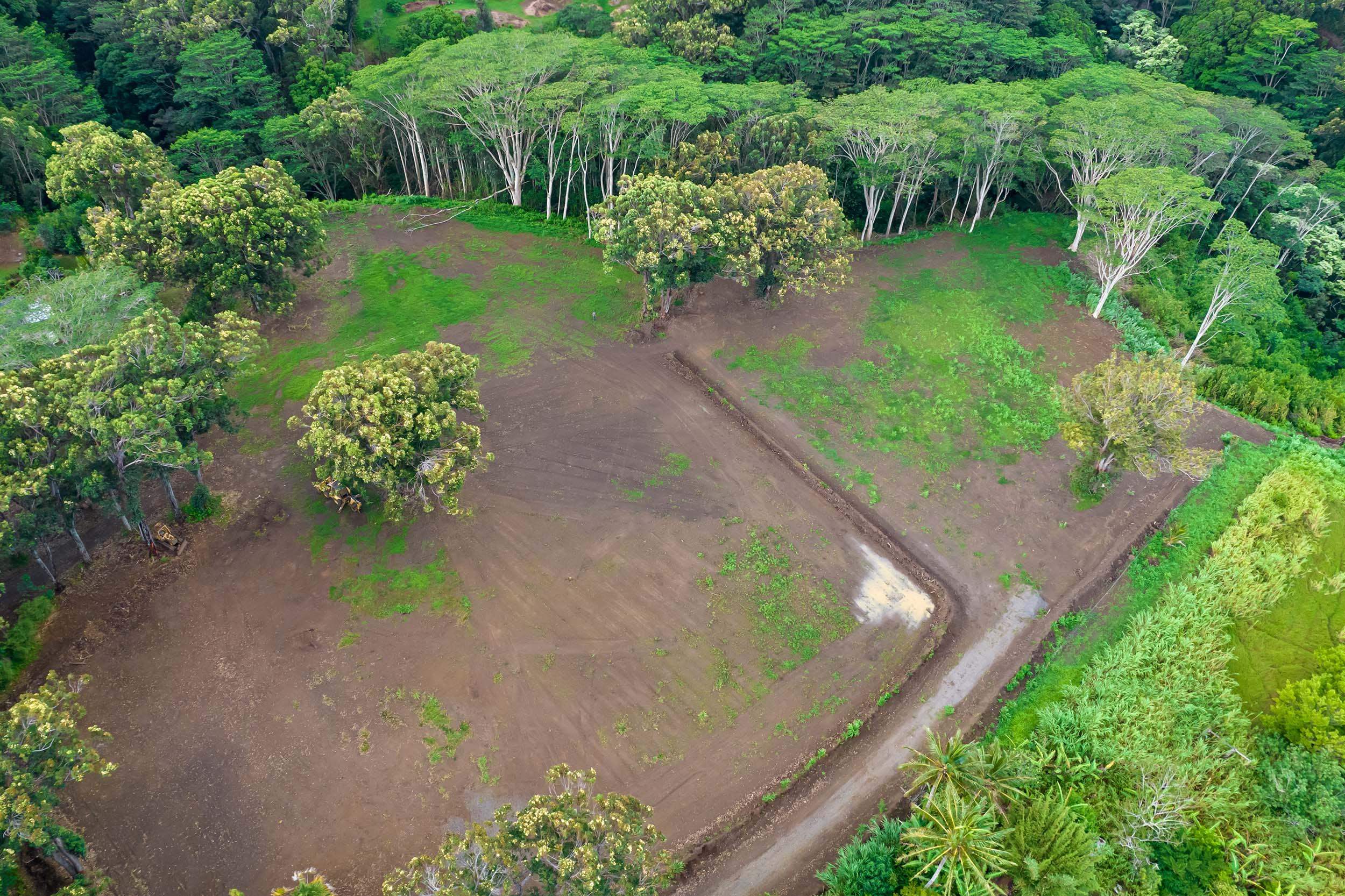 480 East Kuiaha Road Haiku, HI 96708 - Photo 20 of 23 a view of a garden with a lake