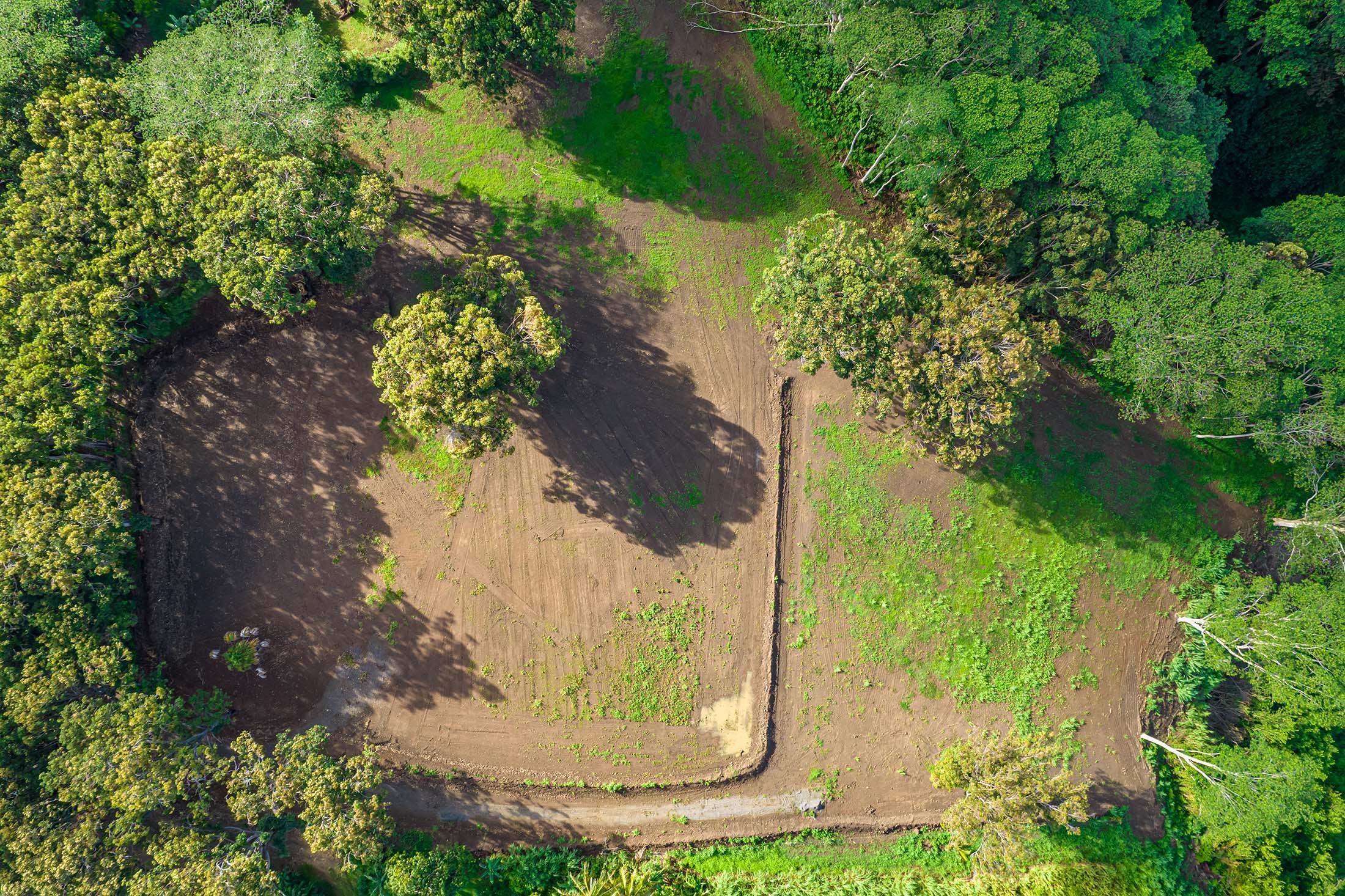 480 East Kuiaha Road Haiku, HI 96708 - Photo 21 of 23 a view of a yard