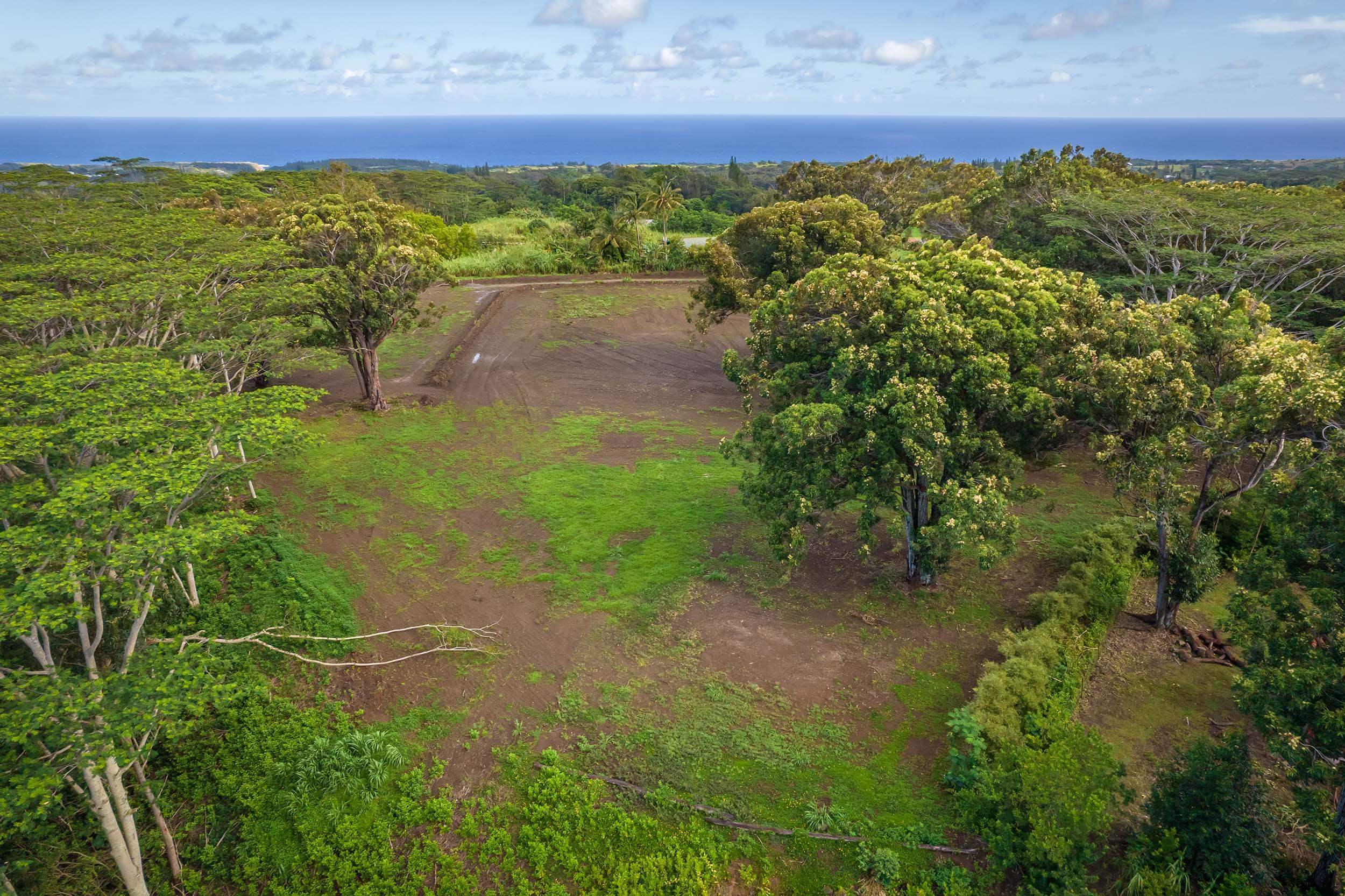 480 East Kuiaha Road Haiku, HI 96708 - Photo 23 of 23 a view of a yard with an trees